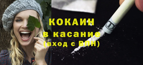 ПСИЛОЦИБИНОВЫЕ ГРИБЫ Осинники
