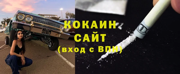 ПСИЛОЦИБИНОВЫЕ ГРИБЫ Осинники