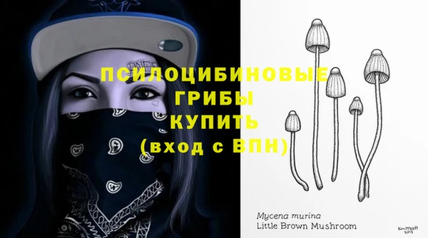 ПСИЛОЦИБИНОВЫЕ ГРИБЫ Осинники
