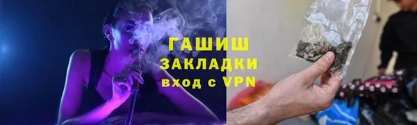 ПСИЛОЦИБИНОВЫЕ ГРИБЫ Осинники