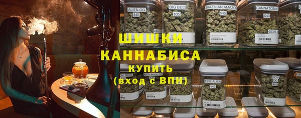 ПСИЛОЦИБИНОВЫЕ ГРИБЫ Осинники