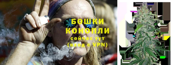 ПСИЛОЦИБИНОВЫЕ ГРИБЫ Осинники