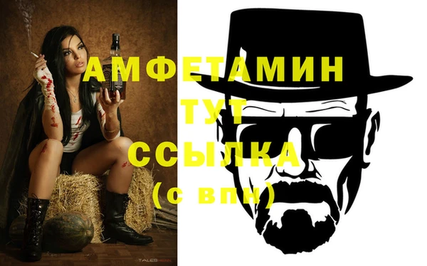 ПСИЛОЦИБИНОВЫЕ ГРИБЫ Осинники