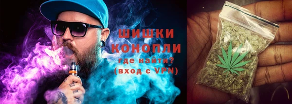 ПСИЛОЦИБИНОВЫЕ ГРИБЫ Осинники