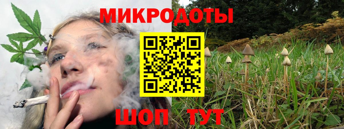 что такое   Туймазы  Галлюциногенные грибы MAGIC MUSHROOMS 