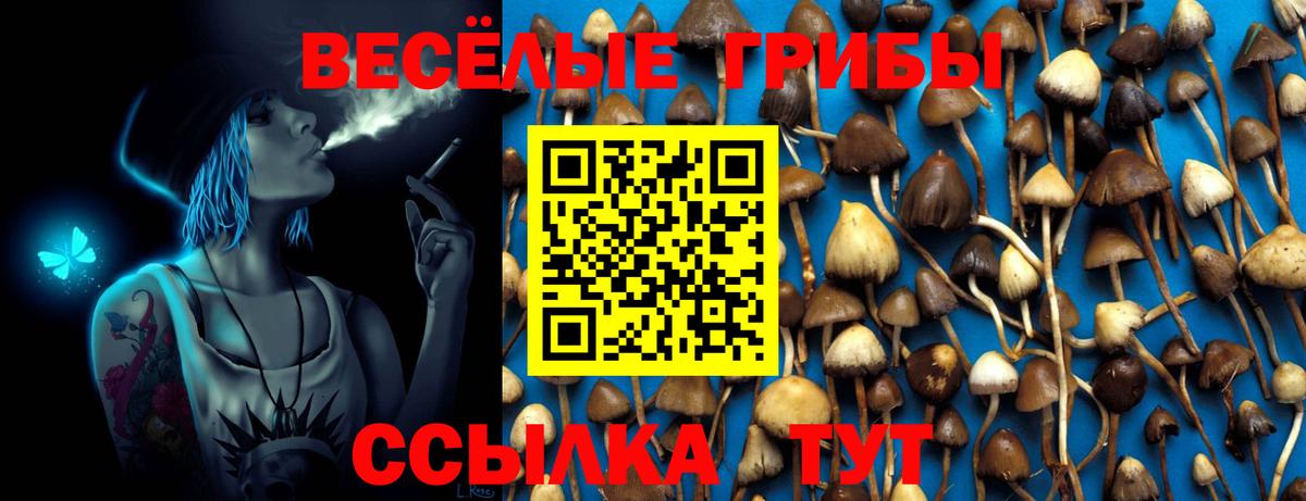 МЕТАМФЕТАМИН  ГЕРОИН  Туймазы  Гашиш  MDMA  Меф МЯУ МЯУ кристаллы  Канабис  ГАШИШ 